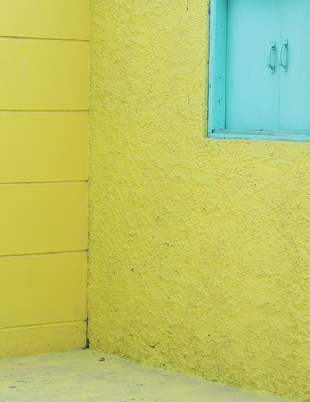 c03935886e634309ab829c3d41fc2317.thumbnail.0000000000.jpg